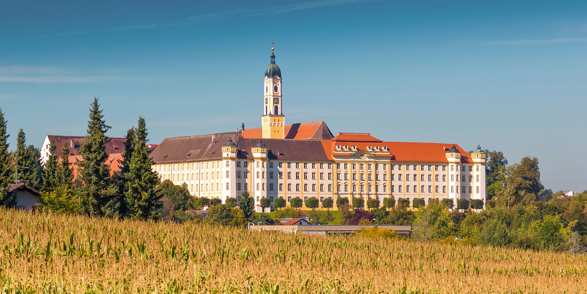 Immobilienmakler für Ochsenhausen